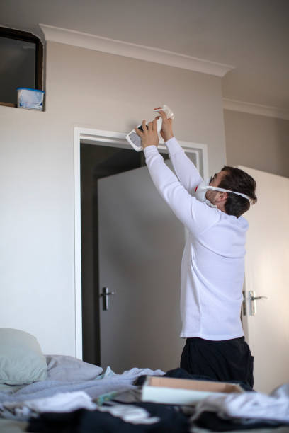 Best Mold Removal for HVAC Installations  in West Linn, OR
