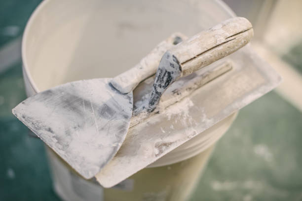 Best Mold Damage Restoration  in West Linn, OR